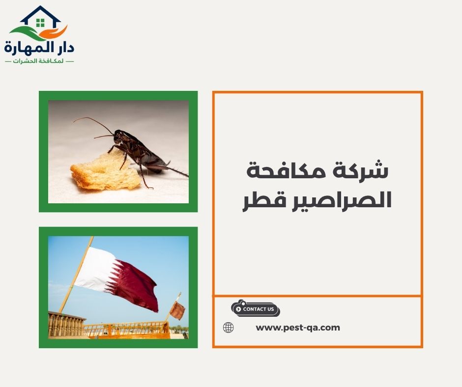 شركة مكافحة الصراصير قطر شركة مكافحة الصراصير قطر