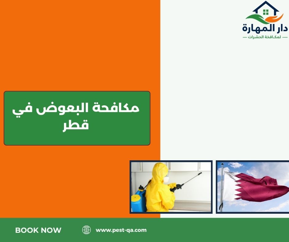 مكافحة البعوض في قطر مكافحة البعوض في قطر