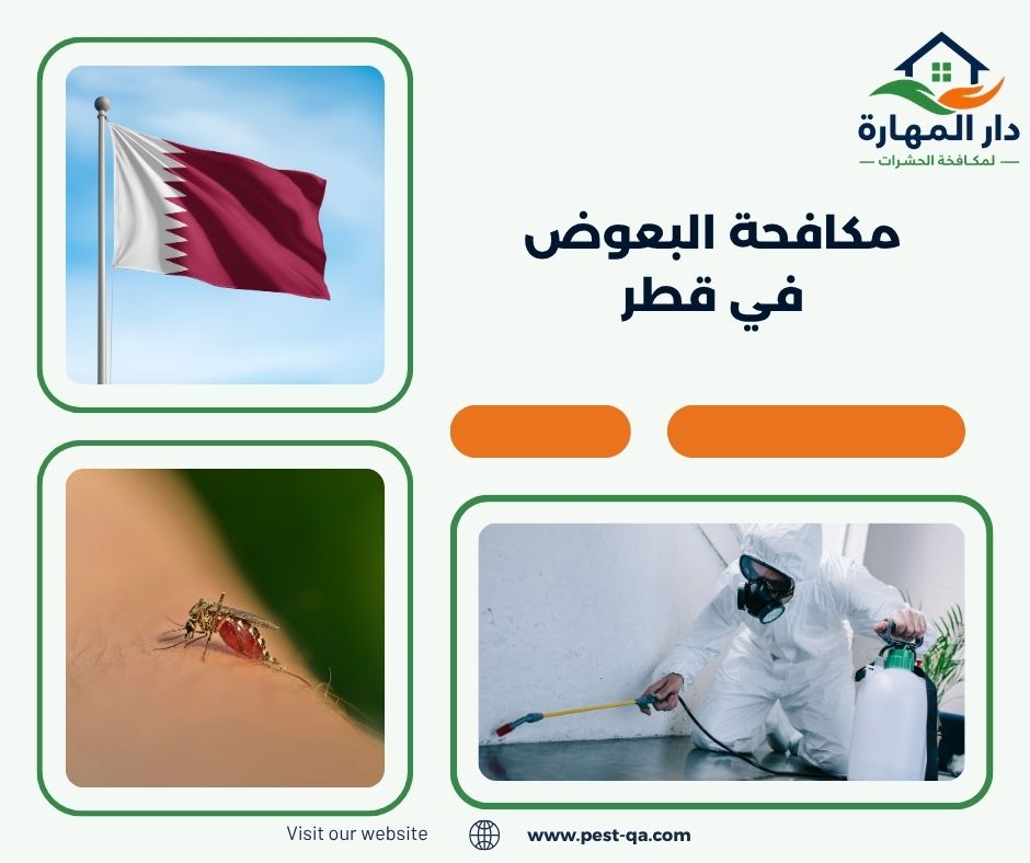 مكافحة البعوض في قطر مكافحة البعوض في قطر