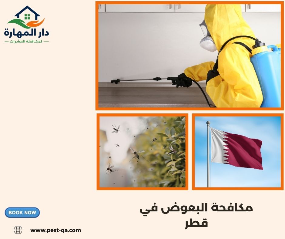 مكافحة البعوض في قطر مكافحة البعوض في قطر