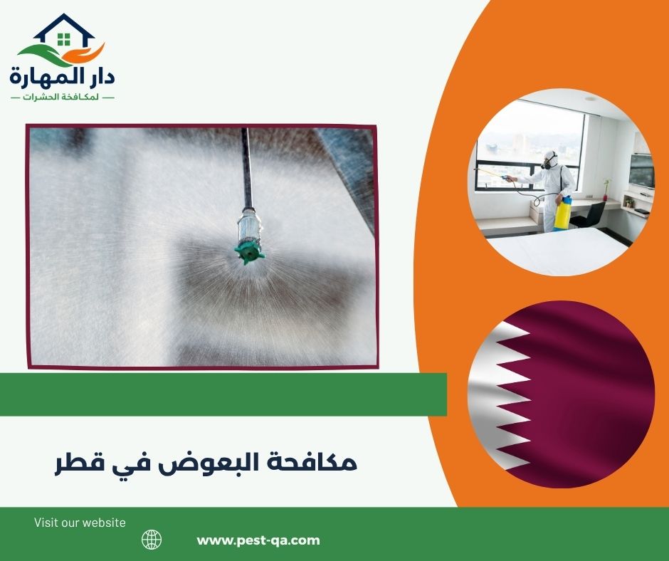 مكافحة البعوض في قطر مكافحة البعوض في قطر