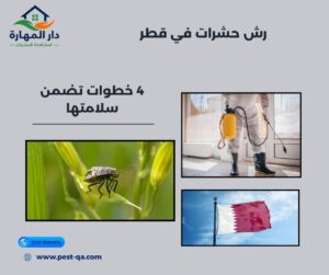 رش حشرات في قطر