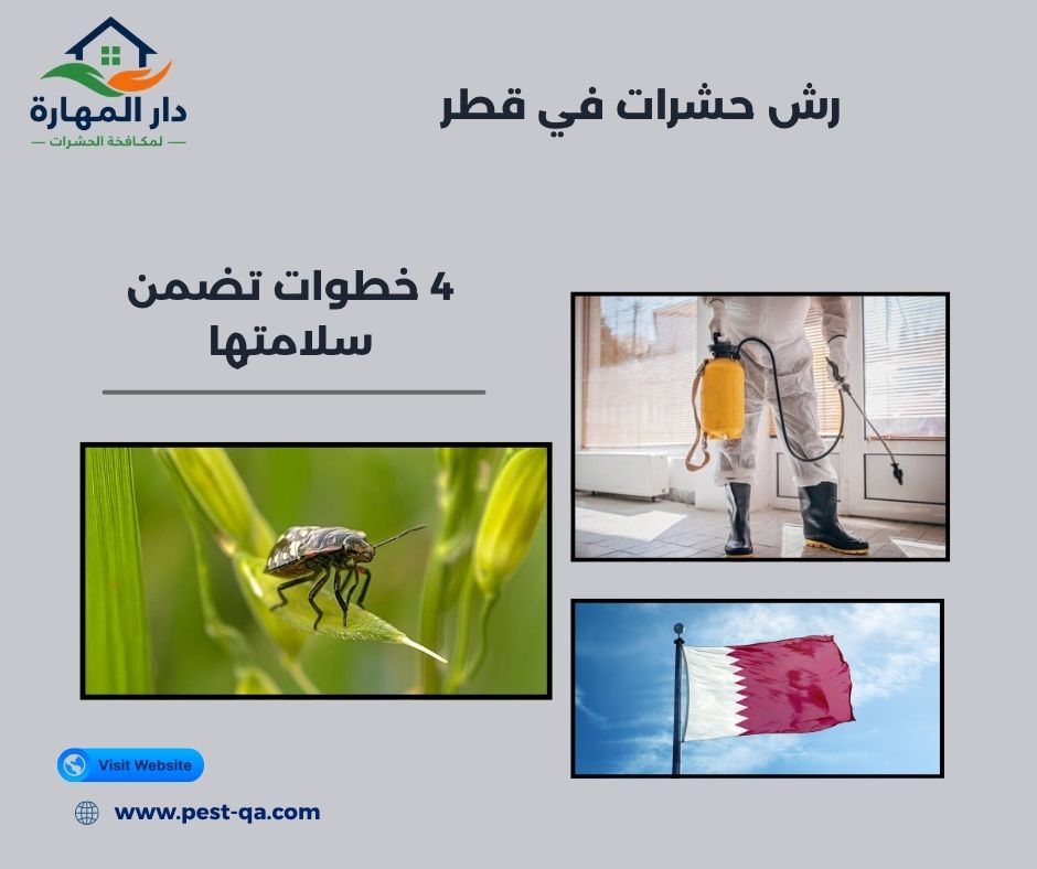 رش حشرات في قطر