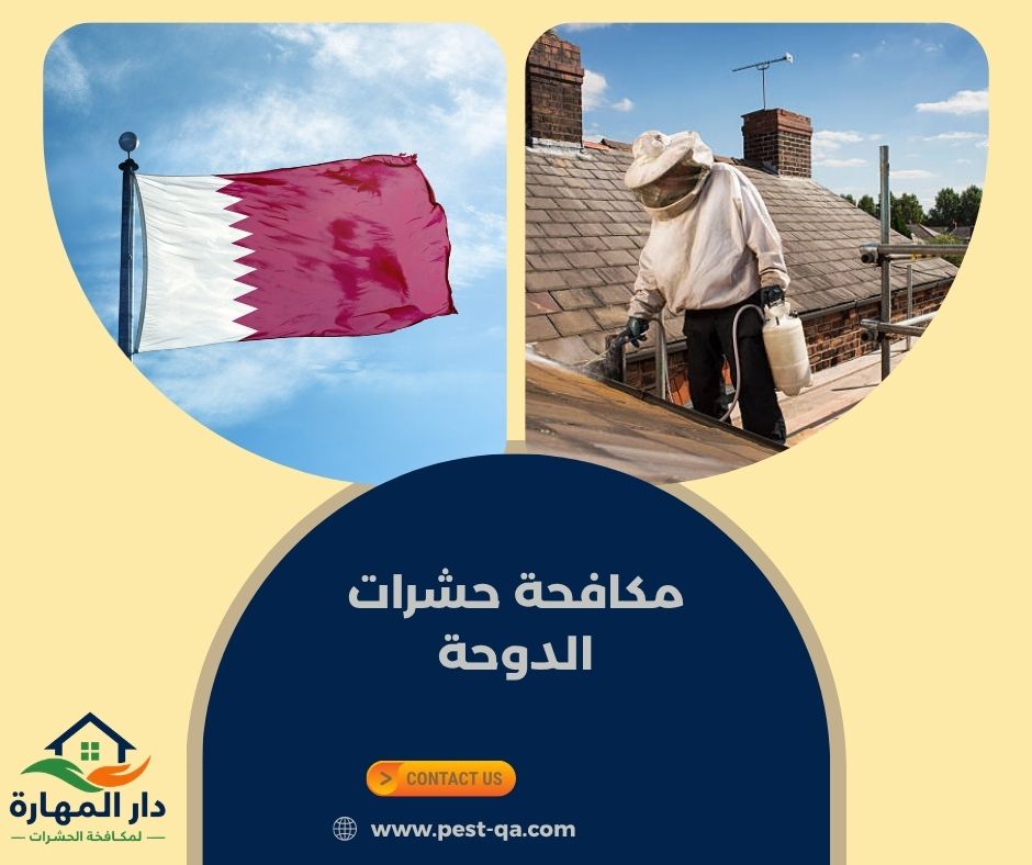 مكافحة حشرات الدوحة مكافحة حشرات الدوحة