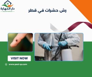 رش حشرات في قطر