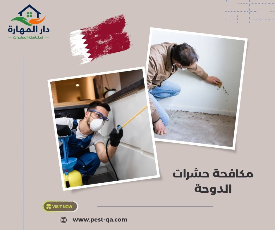 مكافحة حشرات الدوحة مكافحة حشرات الدوحة