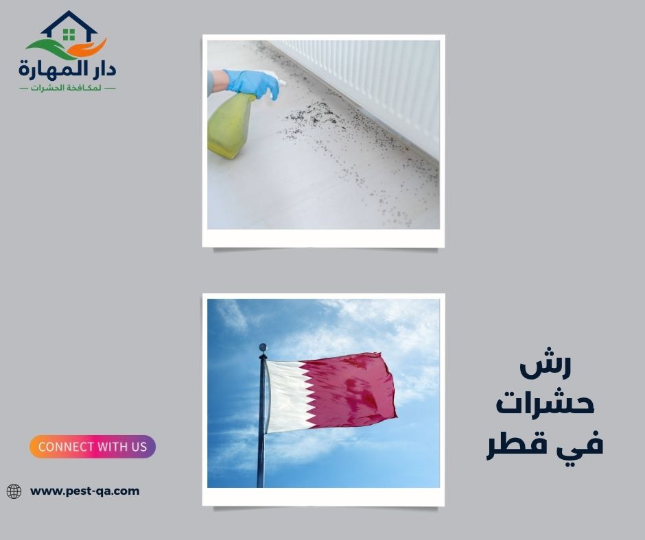 رش حشرات في قطر رش حشرات في قطر