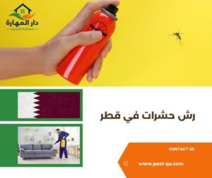 رش حشرات في قطر