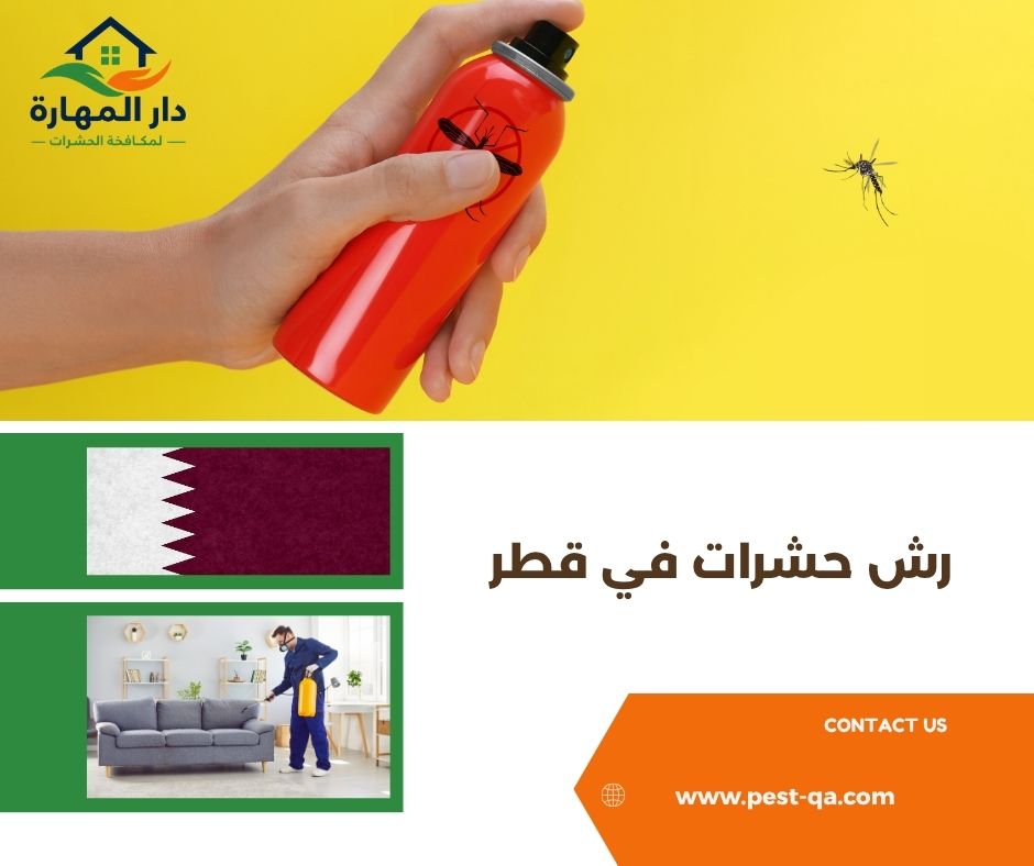 رش حشرات في قطر رش حشرات في قطر