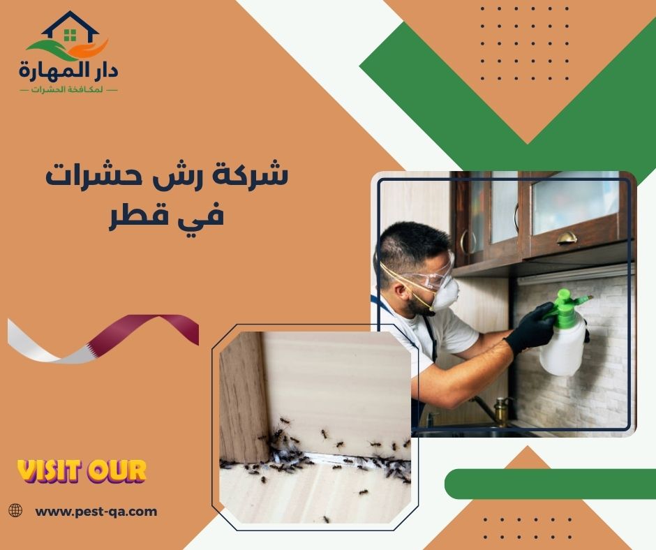 شركة رش حشرات في قطر