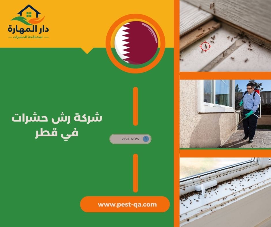 شركة رش حشرات في قطر