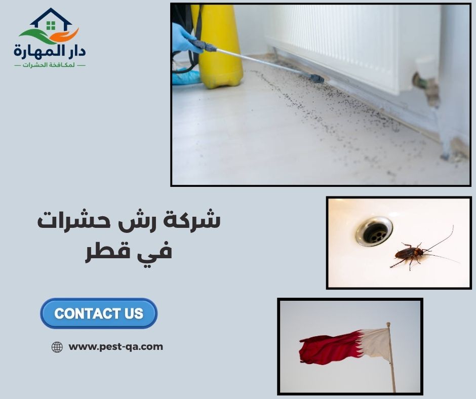 شركة رش حشرات في قطر