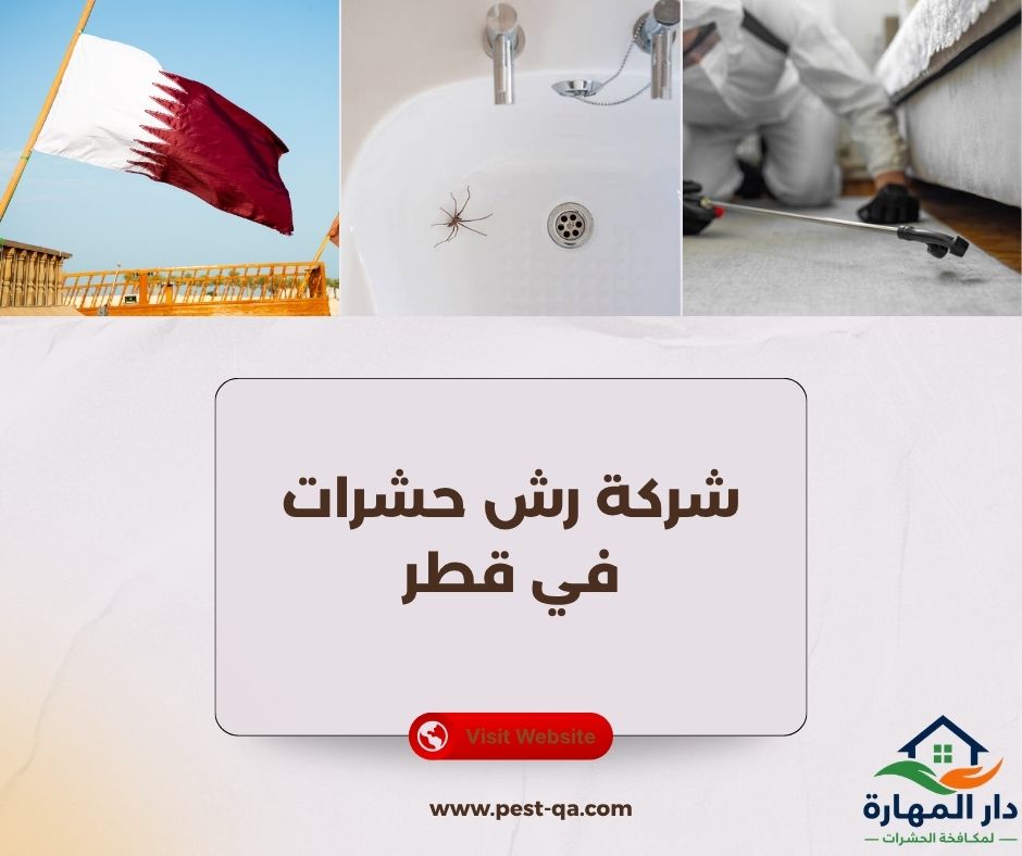 شركة رش حشرات في قطر