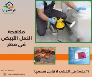 مكافحة النمل الأبيض في قطر