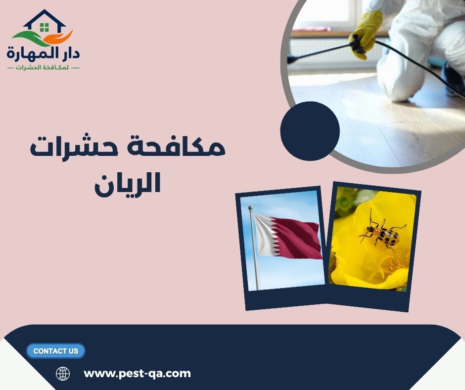 مكافحة حشرات الريان مكافحة حشرات الريان