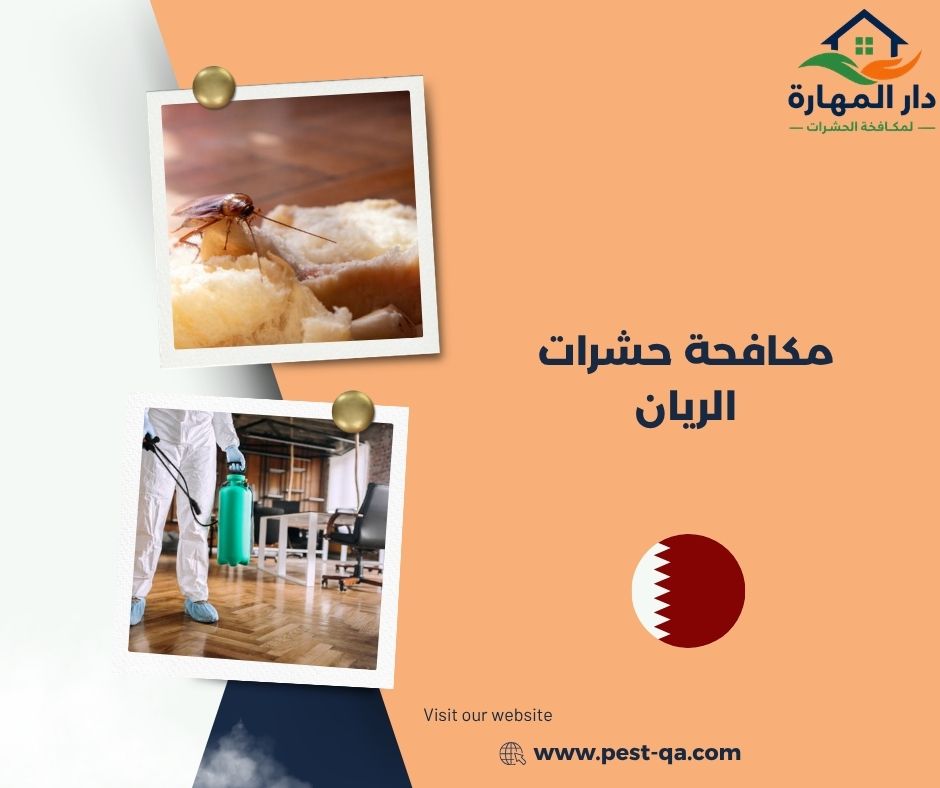 مكافحة حشرات الريان مكافحة حشرات الريان