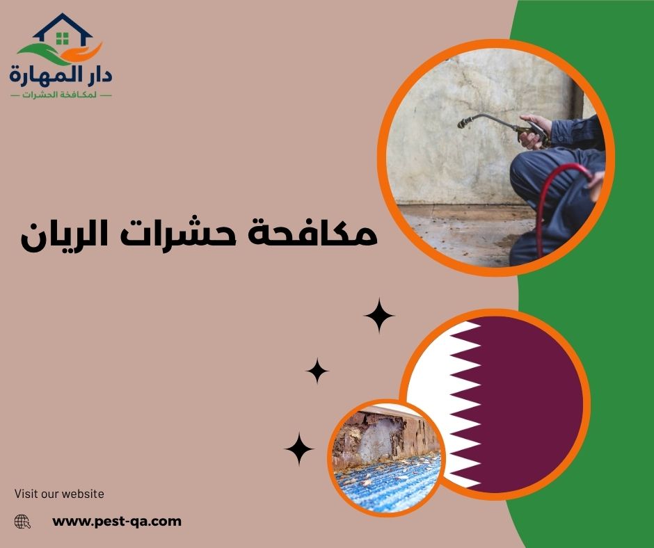 مكافحة حشرات الريان مكافحة حشرات الريان