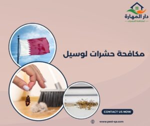 مكافحة حشرات لوسيل