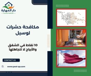 مكافحة حشرات لوسيل