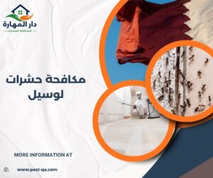 مكافحة حشرات لوسيل