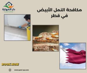 مكافحة النمل الأبيض في قطر