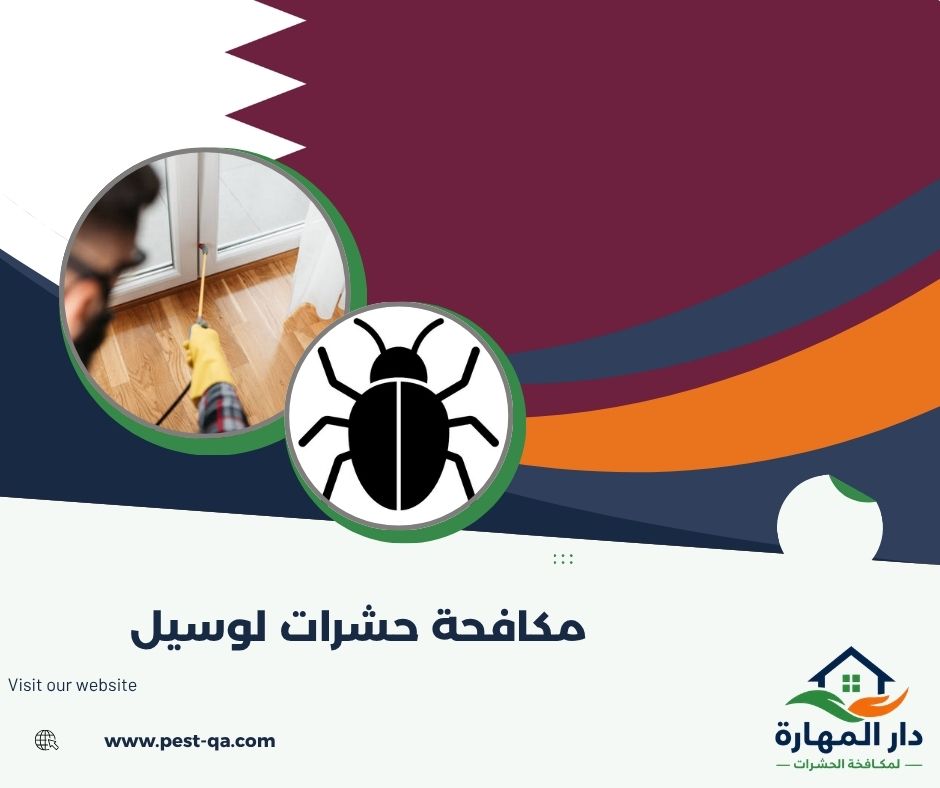 مكافحة حشرات لوسيل مكافحة حشرات لوسيل