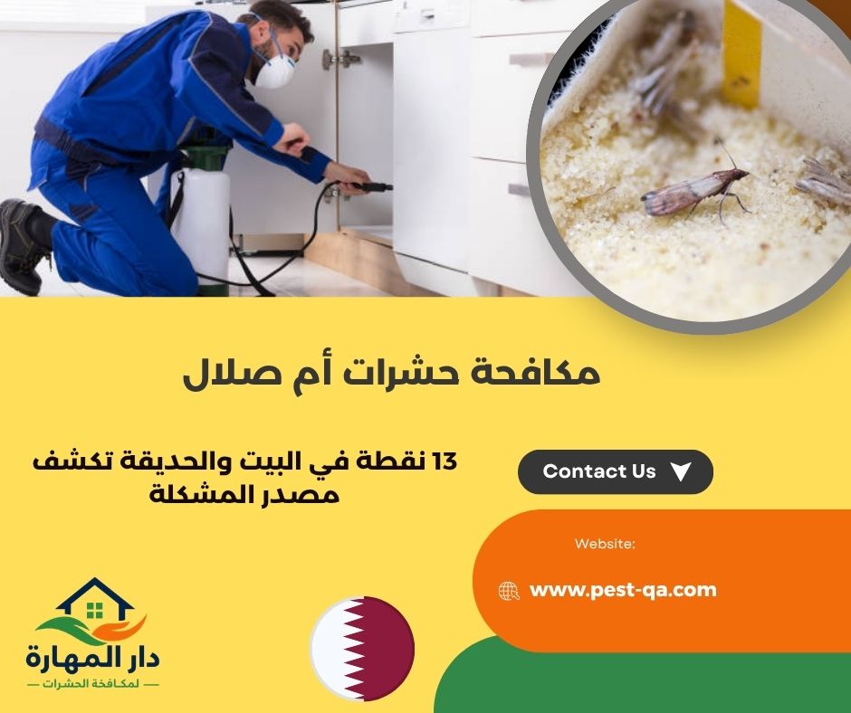 مكافحة حشرات أم صلال