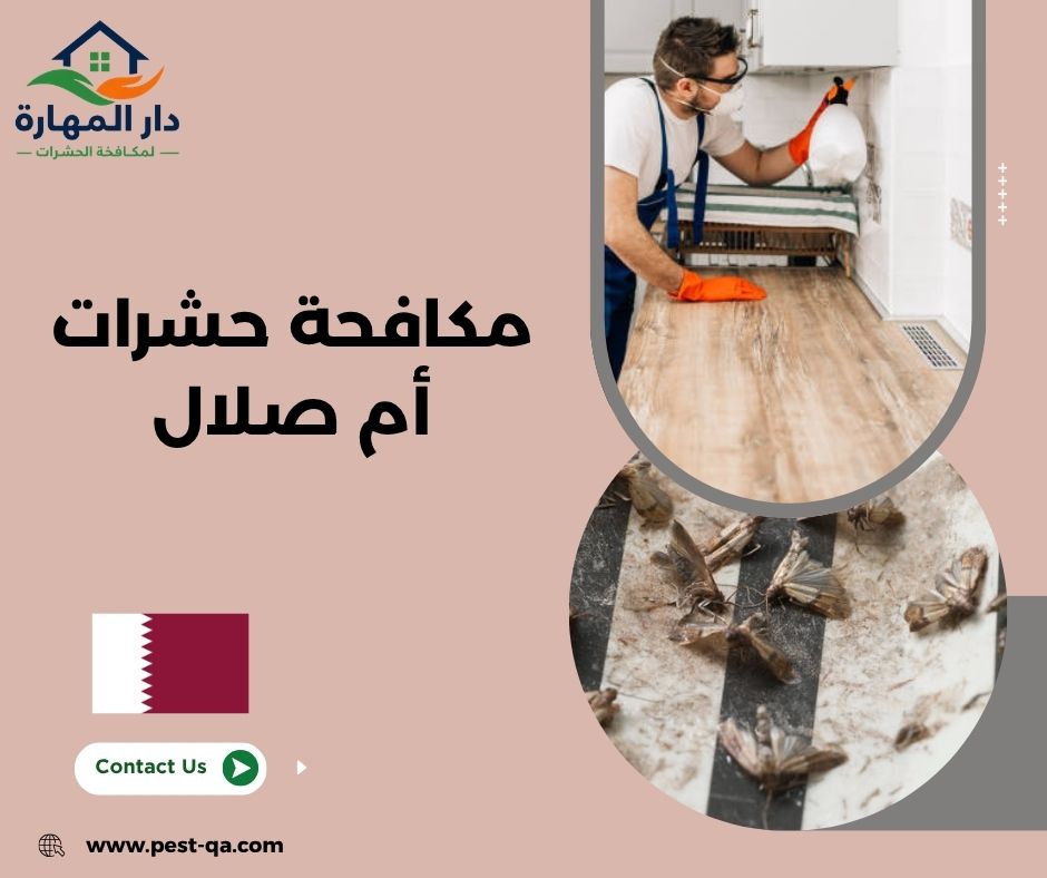 مكافحة حشرات أم صلال مكافحة حشرات أم صلال