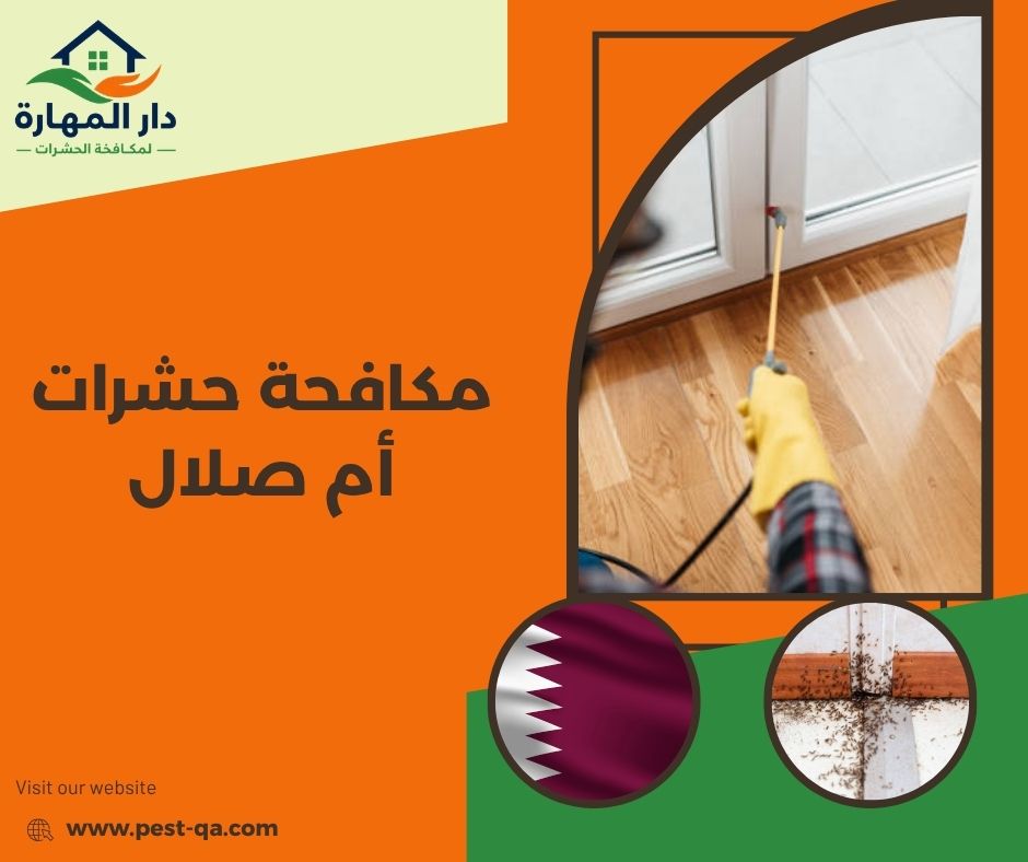 مكافحة حشرات أم صلال مكافحة حشرات أم صلال