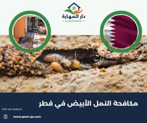 مكافحة النمل الأبيض في قطر