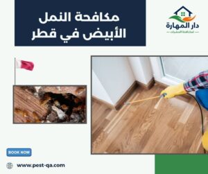 مكافحة النمل الأبيض في قطر