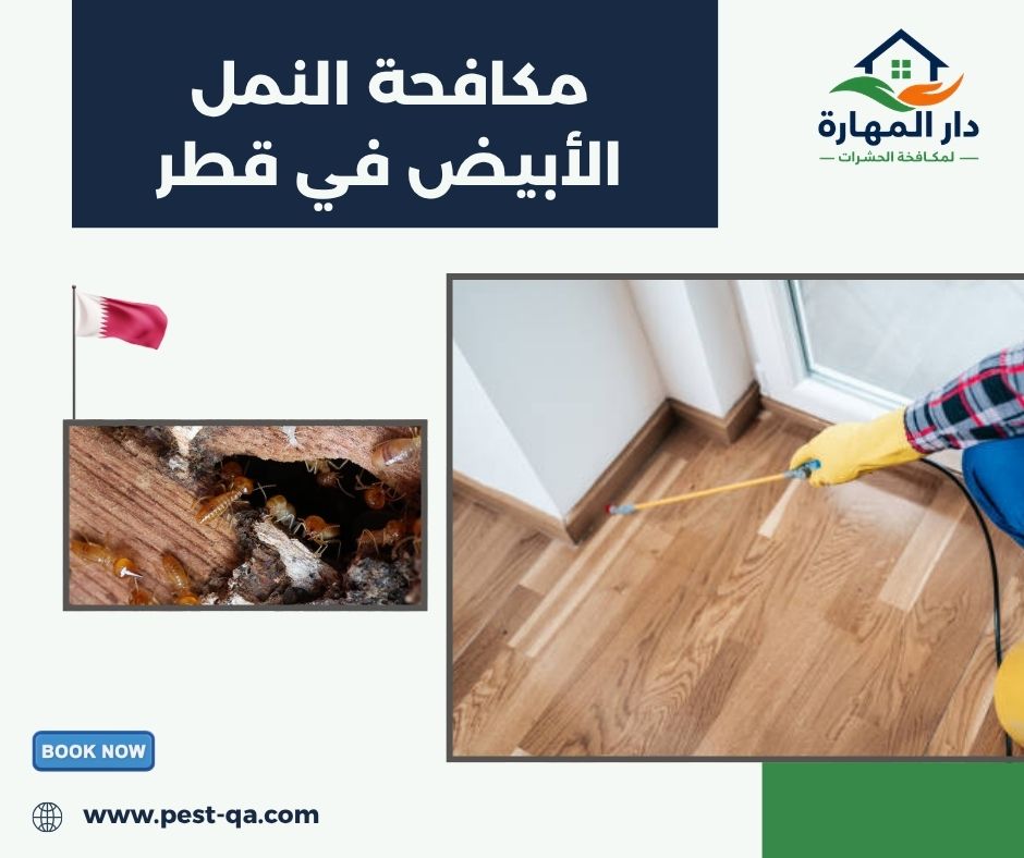 مكافحة النمل الأبيض في قطر مكافحة النمل الأبيض في قطر