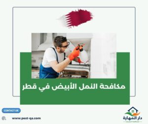 مكافحة النمل الأبيض في قطر