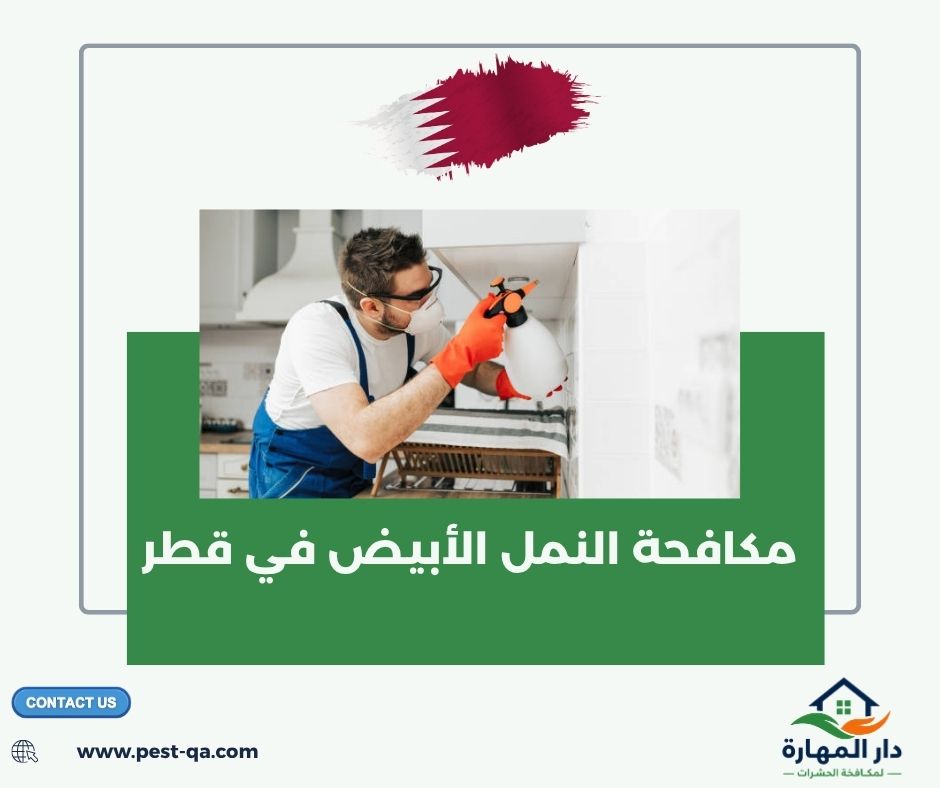 مكافحة النمل الأبيض في قطر مكافحة النمل الأبيض في قطر