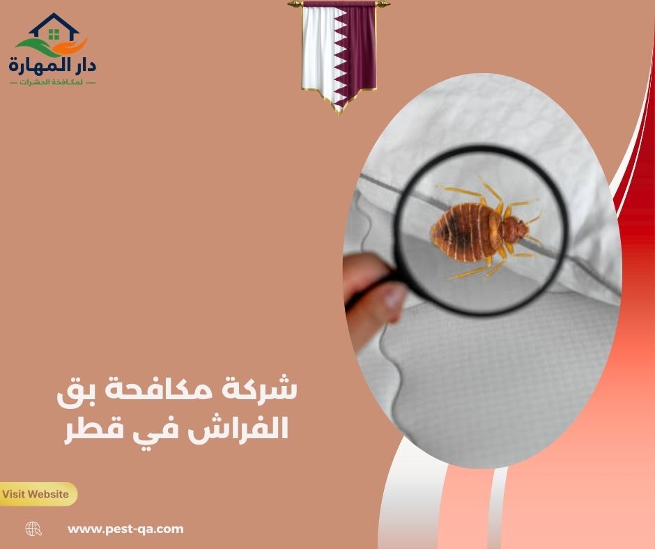 شركة مكافحة بق الفراش في قطر شركة مكافحة بق الفراش في قطر