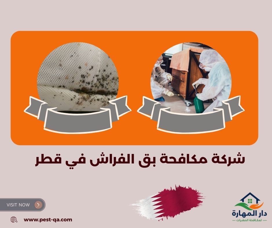 شركة مكافحة بق الفراش في قطر شركة مكافحة بق الفراش في قطر