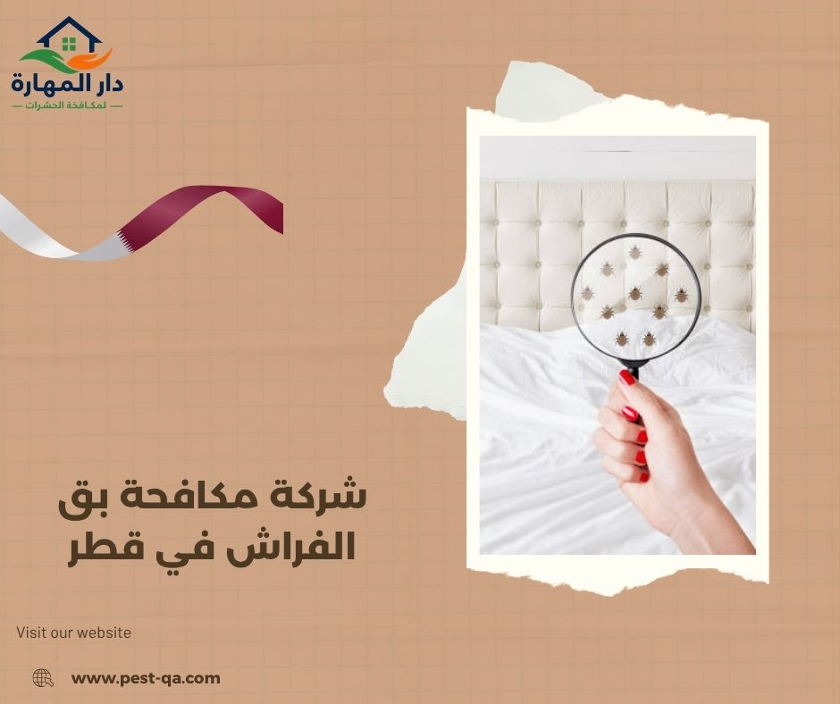 شركة مكافحة بق الفراش في قطر شركة مكافحة بق الفراش في قطر
