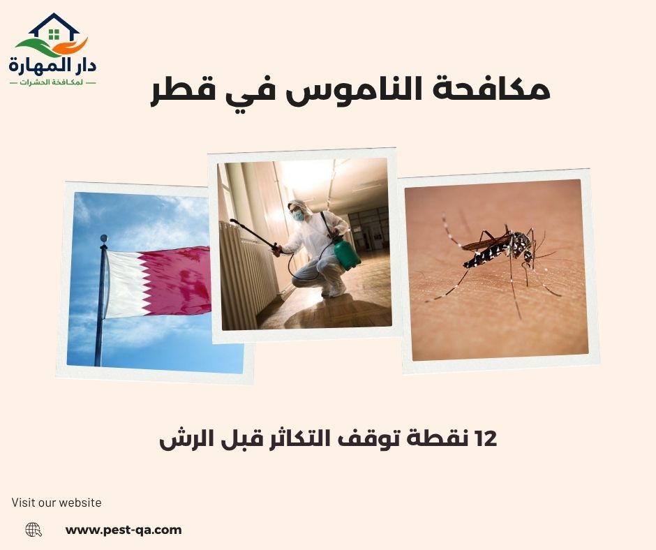 مكافحة الناموس في قطر