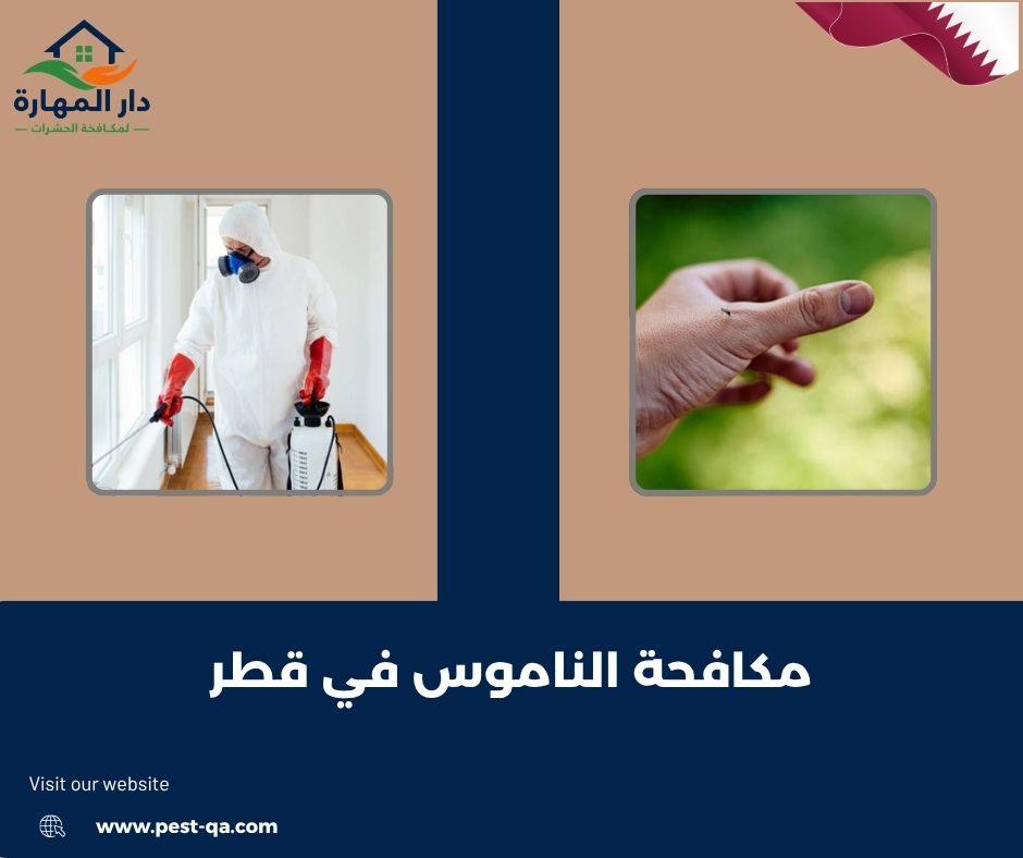 مكافحة الناموس في قطر مكافحة الناموس في قطر