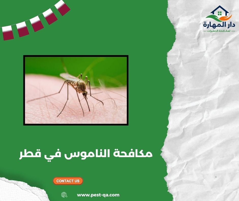 مكافحة الناموس في قطر مكافحة الناموس في قطر