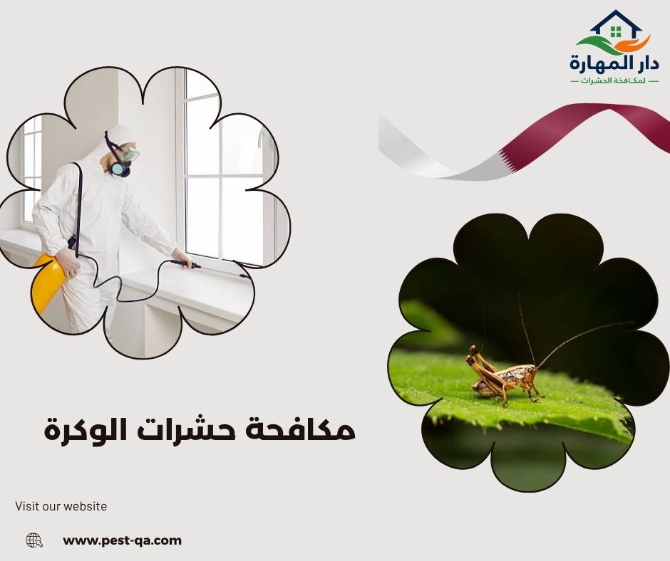 مكافحة حشرات الوكرة مكافحة حشرات الوكرة