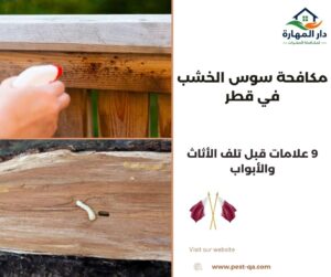 مكافحة سوس الخشب في قطر