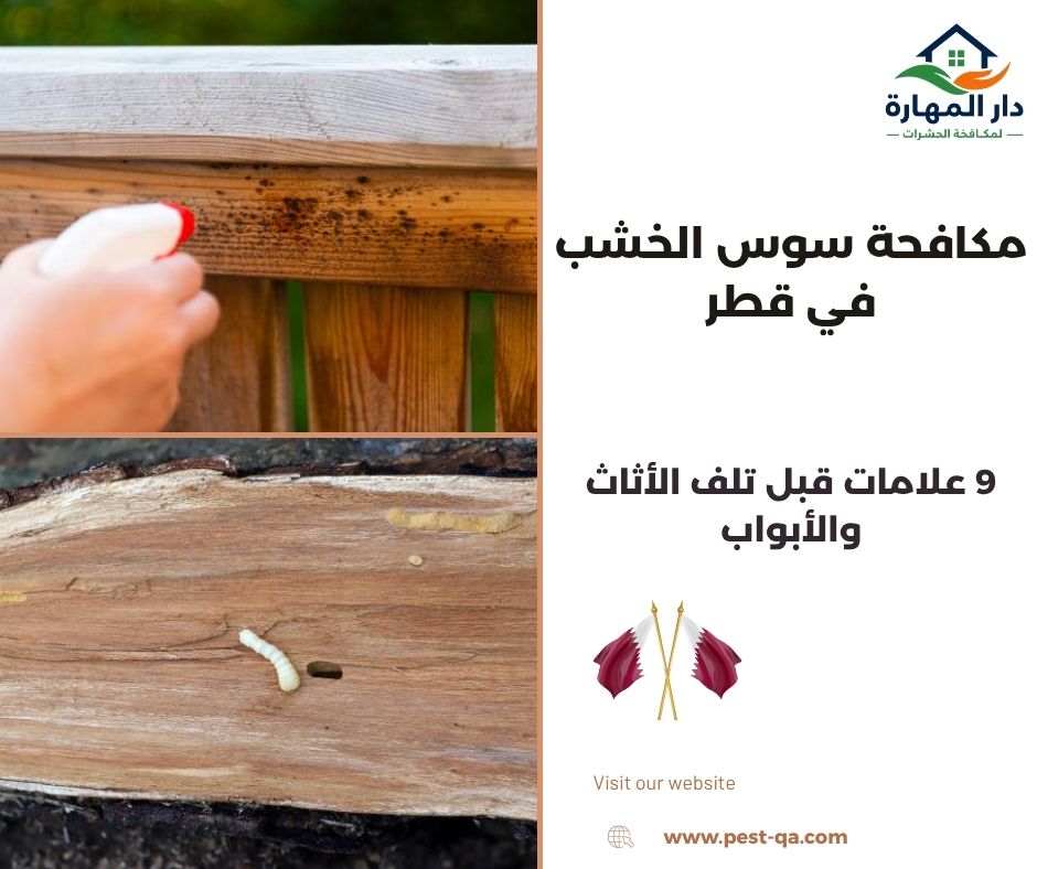 مكافحة سوس الخشب في قطر