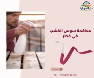 مكافحة سوس الخشب في قطر