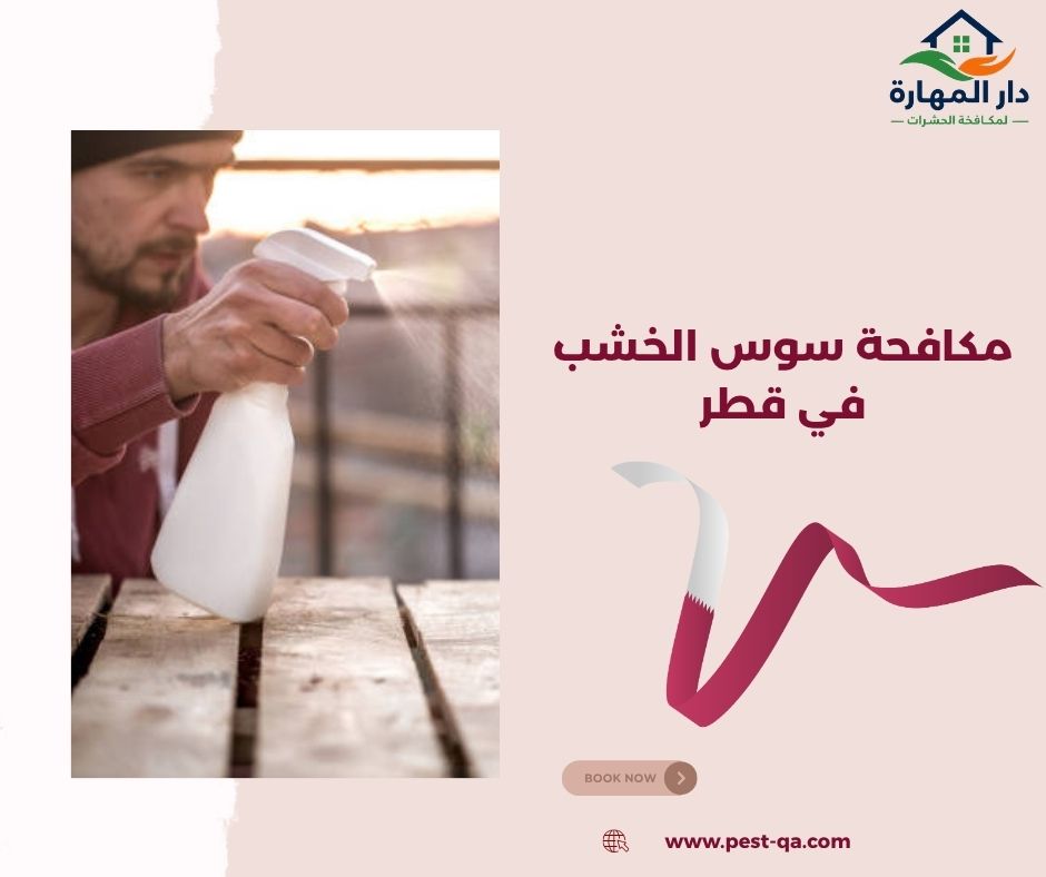 مكافحة سوس الخشب في قطر مكافحة سوس الخشب في قطر