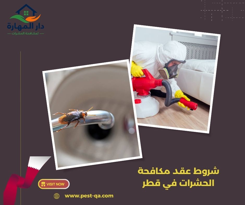 شروط عقد مكافحة الحشرات في قطر شروط عقد مكافحة الحشرات في قطر