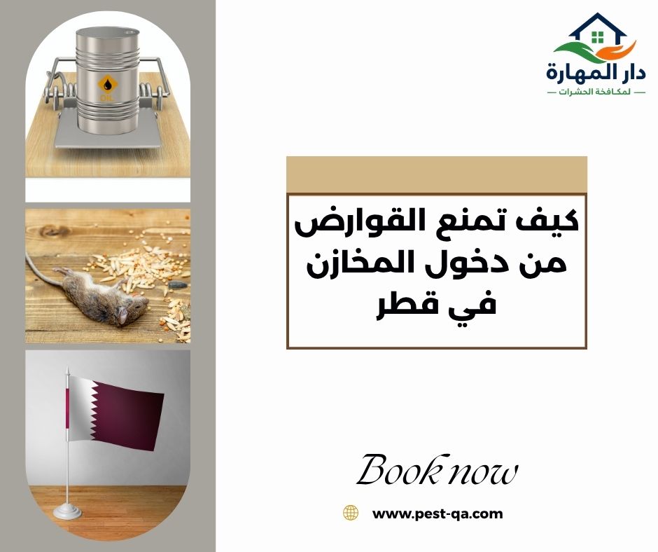 كيف تمنع القوارض من دخول المخازن في قطر كيف تمنع القوارض من دخول المخازن في قطر