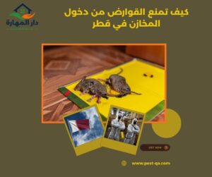 كيف تمنع القوارض من دخول المخازن في قطر