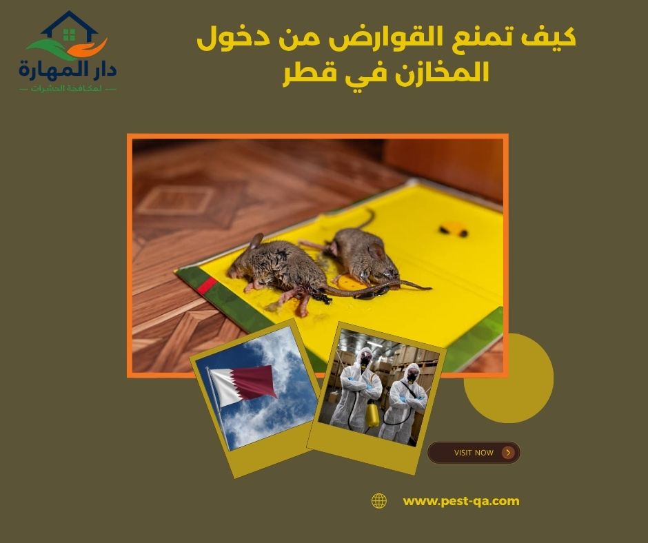 كيف تمنع القوارض من دخول المخازن في قطر كيف تمنع القوارض من دخول المخازن في قطر