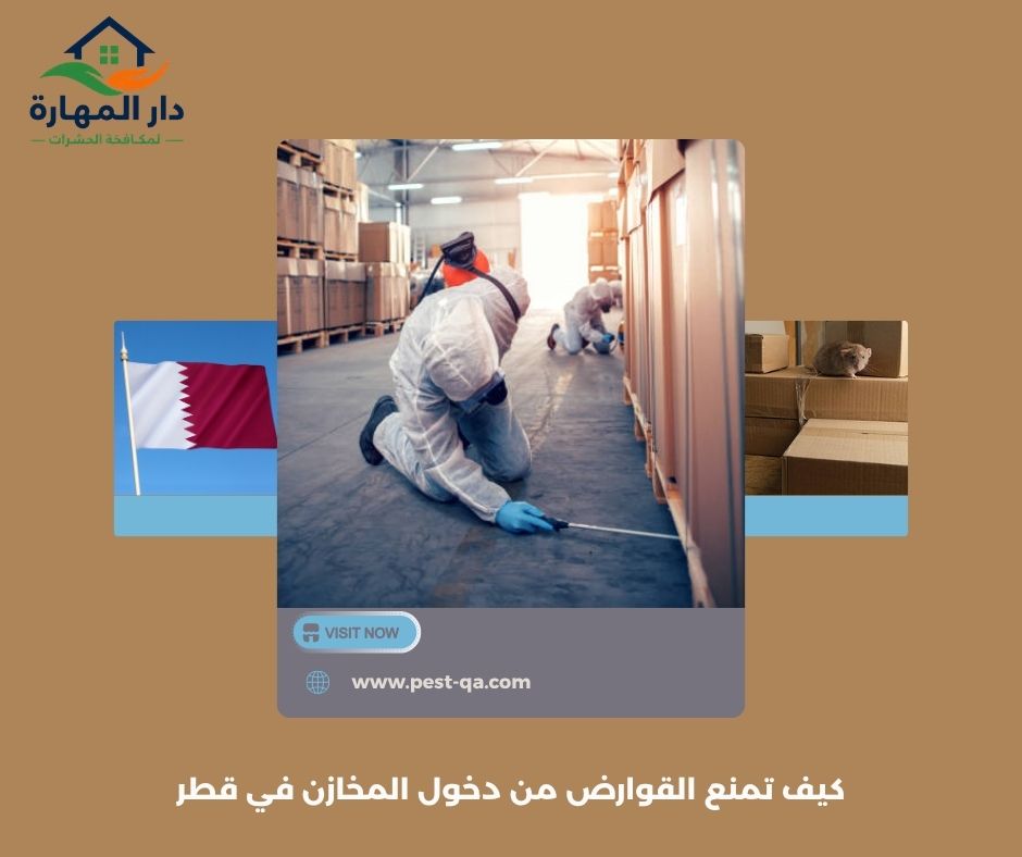 كيف تمنع القوارض من دخول المخازن في قطر كيف تمنع القوارض من دخول المخازن في قطر